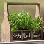 Chalk trug Chalk trug