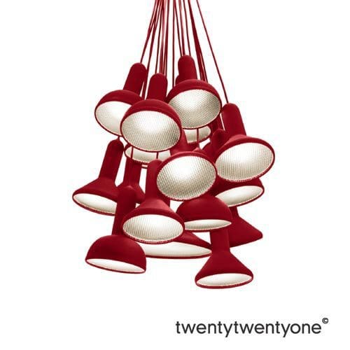 Torch bunch Torch bunch