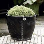 Tyre plant pot Tyre plant pot