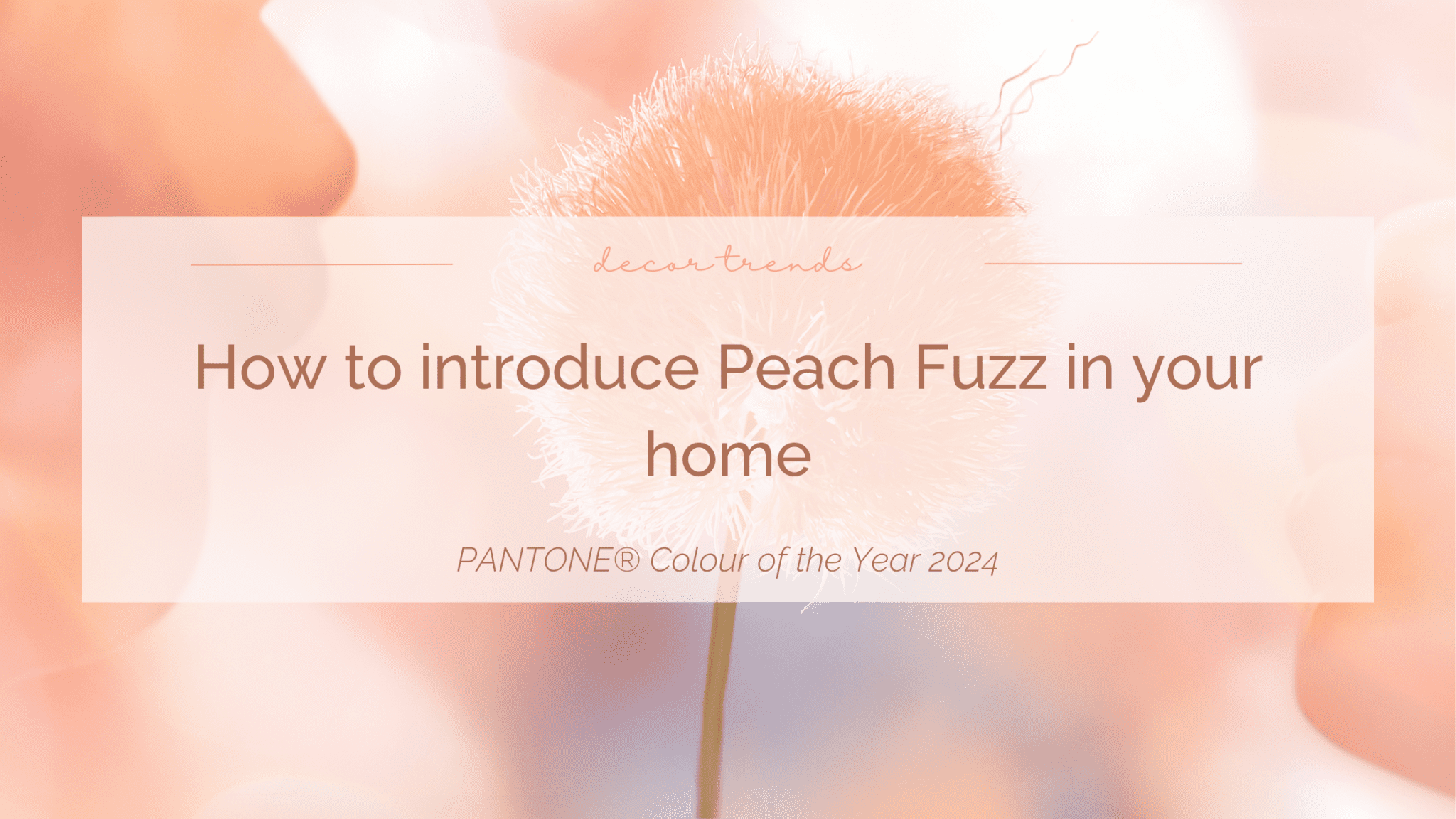 How to Bring the PANTONE® Colour of the Year 2024 Into Your Home ...